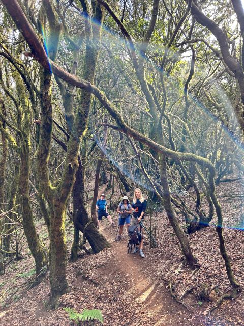 Tenerife: Hiking Tour Above Masca & Enchanted Forest - Guide style is the difference between good photos and a great day