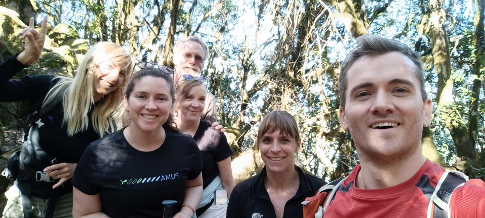 Tenerife: Hiking Tour Above Masca & Enchanted Forest - Price and value: where the $91 goes