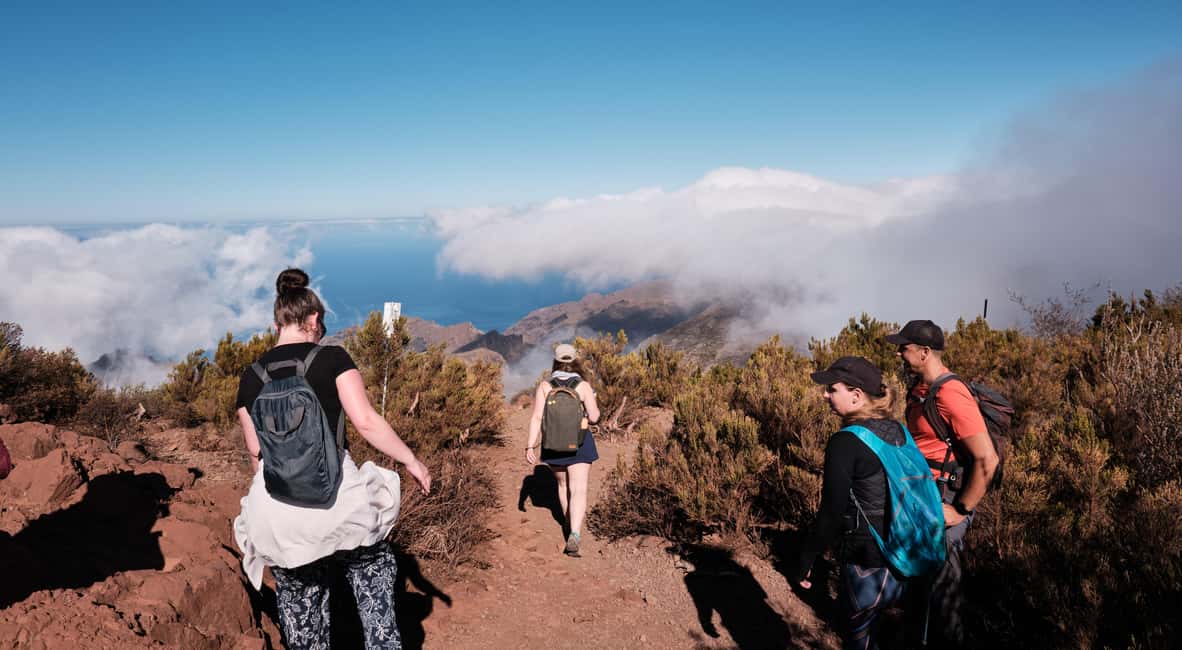 Tenerife: Hiking Tour Above Masca & Enchanted Forest - Pine forest to Teide-and-Masca viewpoints: the tour’s “two worlds” moment