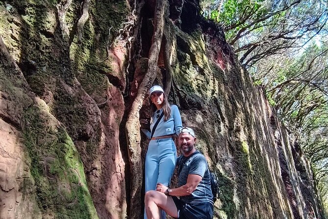 Tenerife: Hiking Tour in Anaga Mountains and Enchanted Forest - Why Anaga’s Trails Feel So Worth the Effort