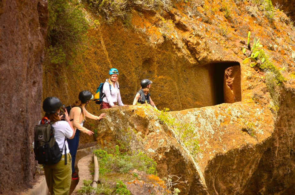 Tenerife: Hiking Tour in Anaga Mountains & Enchanted Forest - Weather reality check: bring layers fast