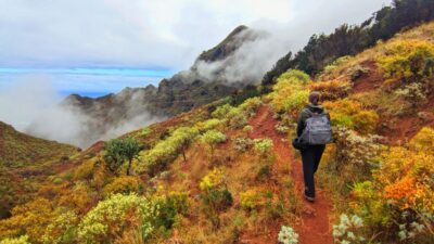 Tenerife: Hiking Tour in Anaga Mountains & Enchanted Forest - Viewpoint La Jardina: panoramic Tenerife before your boots hit dirt