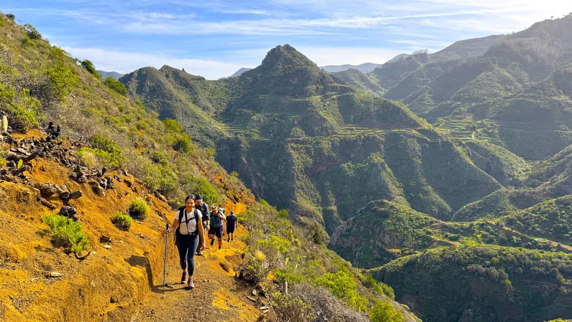 Tenerife: Hiking Tour in Anaga Mountains & Enchanted Forest - The guided hike: 7 km, 230 m gain, and a serious trail in real life