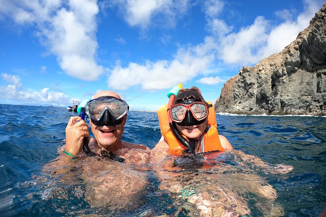 Tenerife: Kayak and snorkel with marine life safari - Way to Cave of Pal Mar: the marine life safari part