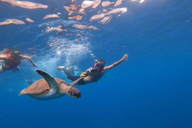 Tenerife: Kayak and snorkel with marine life safari - Snacks, drinks, and the photo question (including the optional €15)