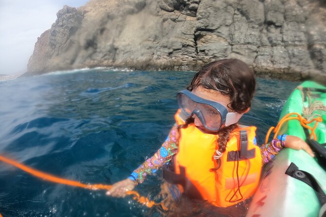 Tenerife: Kayak and snorkel with marine life safari - Price and value at about $42.34: what you’re paying for