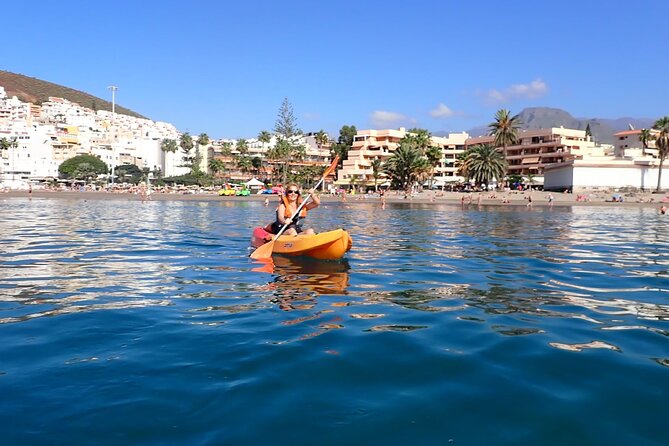 Tenerife: Kayak and snorkel with marine life safari - Weather, timing, and why the route can shift