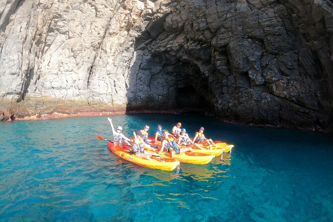 Tenerife: Kayak and snorkel with marine life safari - Snorkel time and optional choices: seeing fish without forcing it