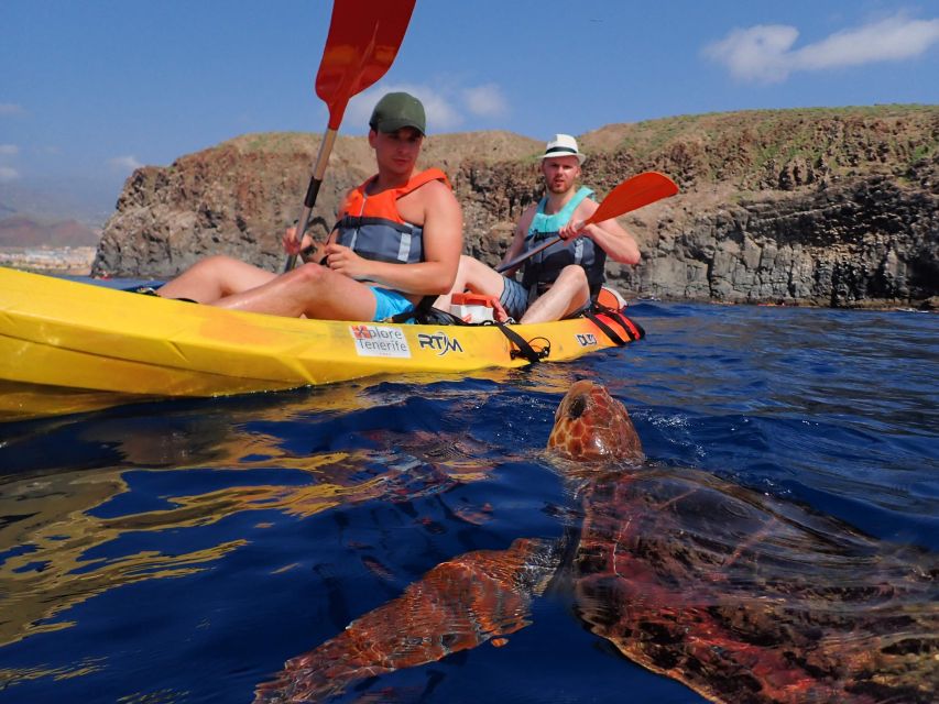 Tenerife: Kayak and Snorkel with Turtles, Wetsuits Included - Snorkeling expectations: turtles are a bonus, not a promise