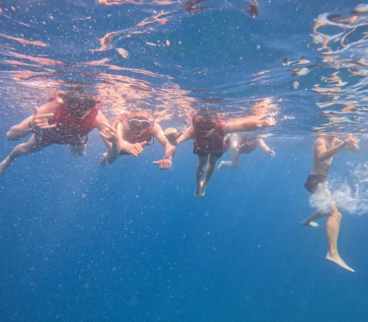 Tenerife: Kayak and Snorkeling Tour with Marine Life - Marine life moments: dolphins, turtles, and fish spotting with Marco