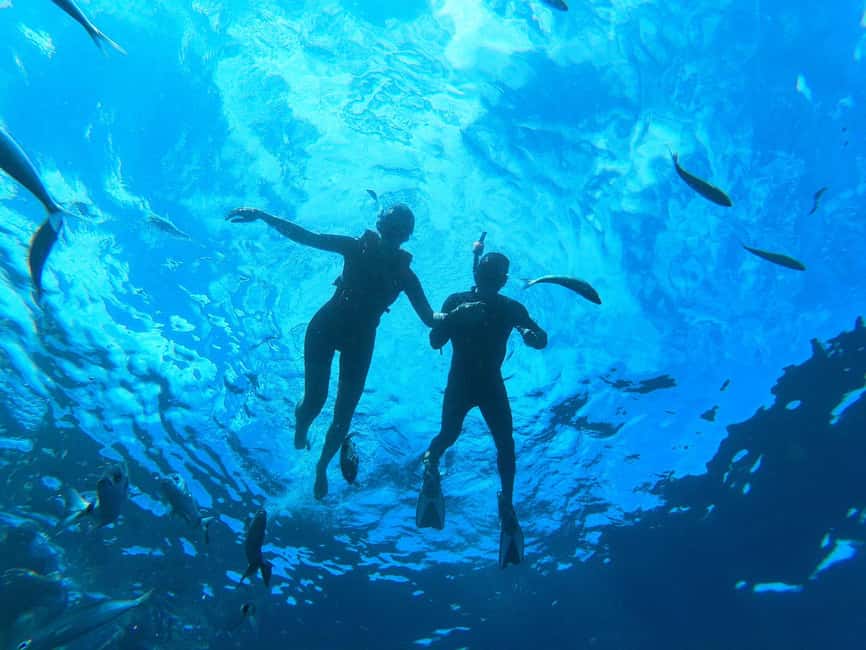 Tenerife: Kayak and Snorkeling Tour with Marine Life - What’s included (and what’s not): pack smarter for a 3-hour day