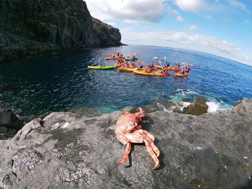Tenerife: Kayak and Snorkeling Tour with Marine Life - Gear and comfort checklist: the small stuff that prevents a bad day