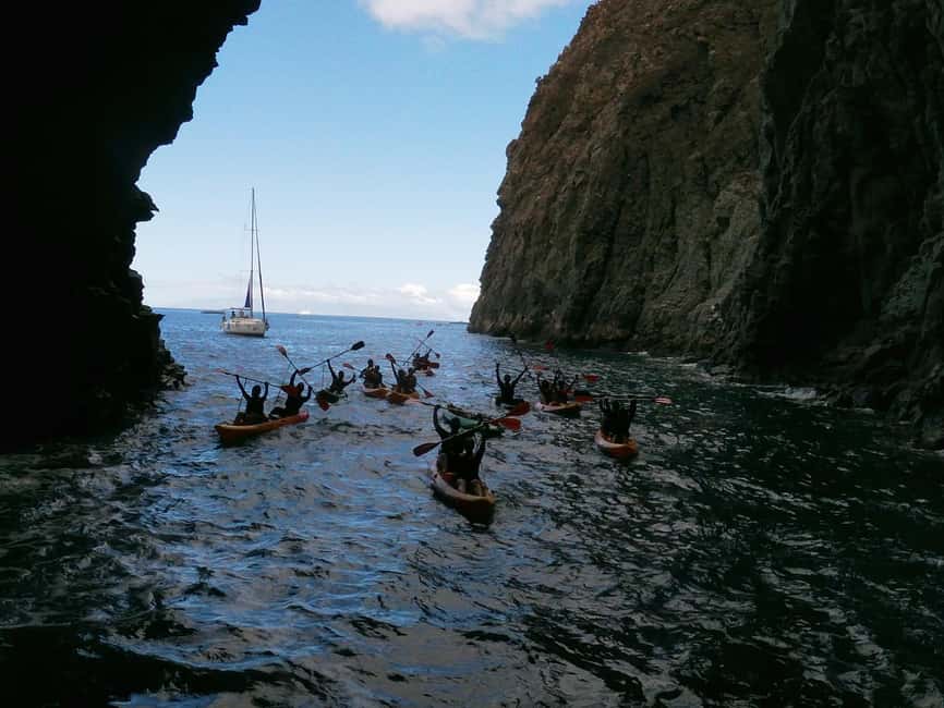Tenerife: Kayak and Snorkeling Tour with Marine Life - Who should book this kayak and snorkeling tour—and who shouldn’t