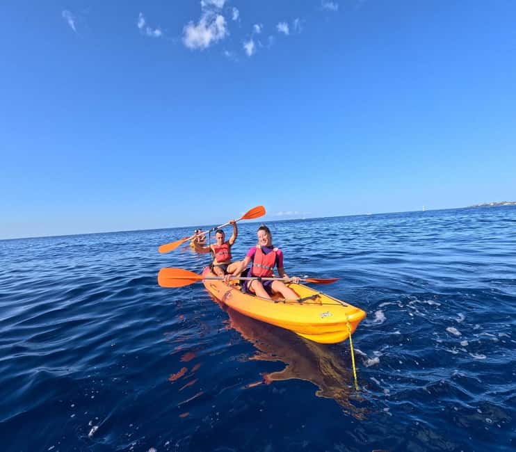 Tenerife: Kayak and Snorkeling Tour with Marine Life - Should you book Easy Kayak Tenerife’s marine life tour?