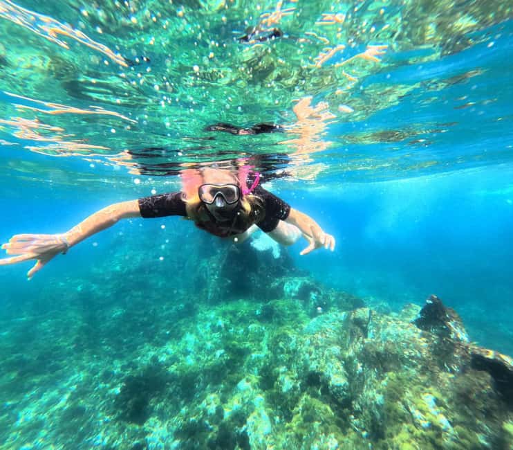 Tenerife: Kayak and Snorkeling Tour with Marine Life - Kayaking the coast: cliffs, coves, and the pace that keeps it fun