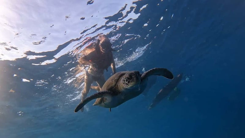 Tenerife: Kayak and Snorkeling Tour with Photos - Key things I think you’ll notice fast