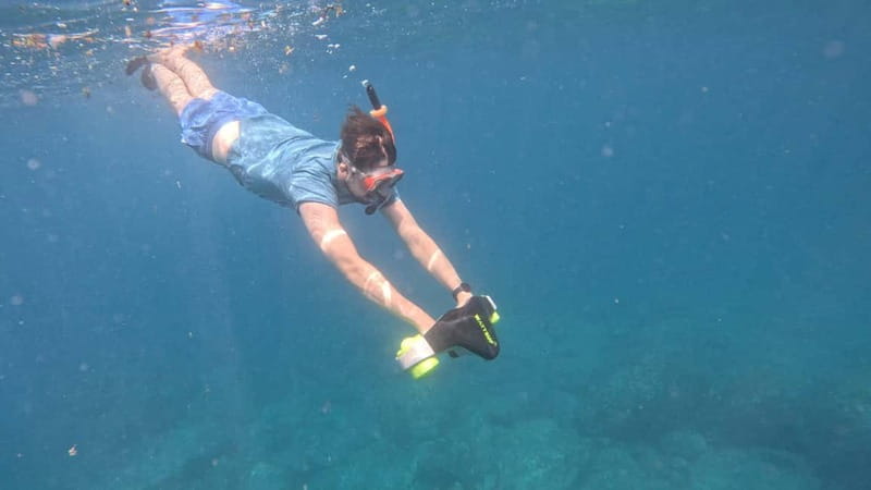 Tenerife: Kayak and Snorkeling Tour with Photos - Wildlife spotting with dolphins and sea turtles, the realistic way