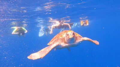 Tenerife: Kayak and Snorkeling Tour with Photos - Paddling past Teide and La Gomera while learning the coast
