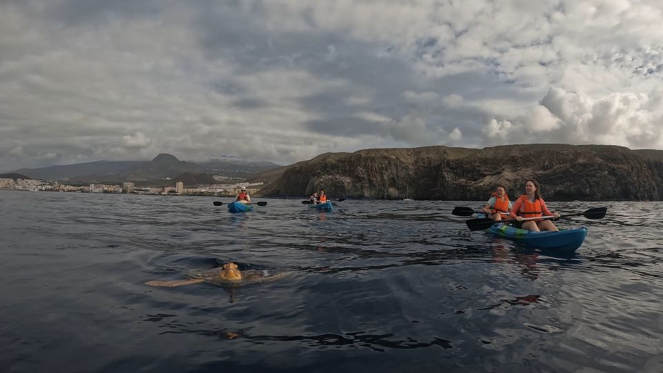 Tenerife: Kayak and Snorkeling Tour with Photos - What 2.5 hours feels like: activity level and pacing