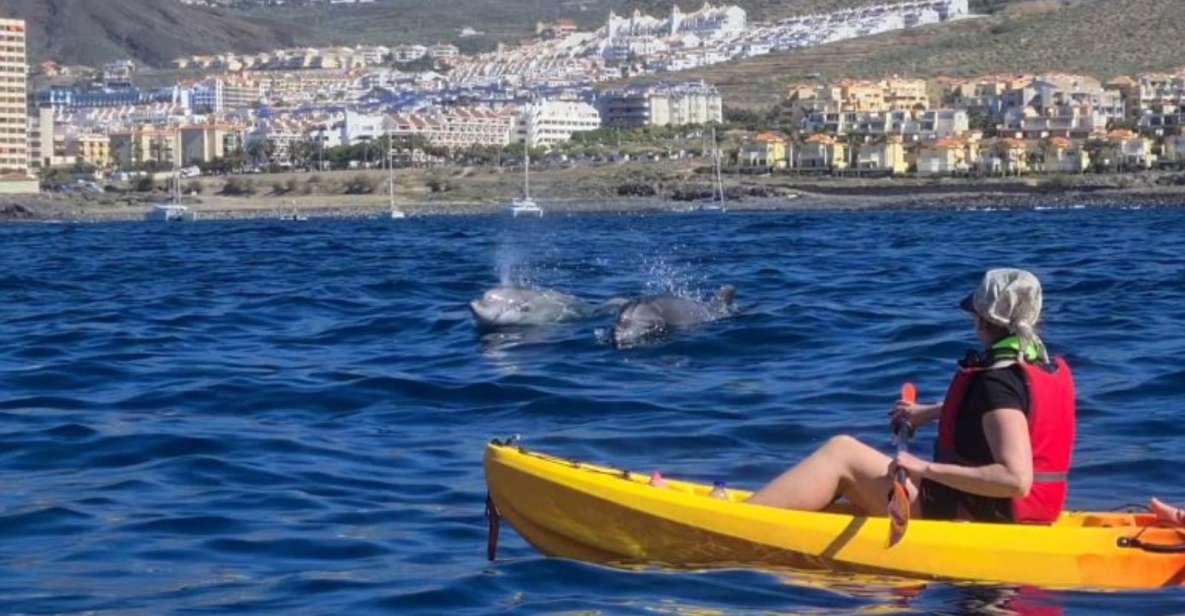 Tenerife: Kayak Safari and Sea Turtle Snorkeling with Photos - Snorkeling From a Sea-Only Spot: What You Really Need to Know