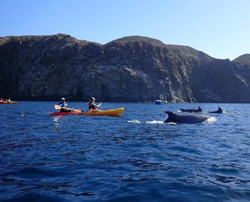 Tenerife: Kayak & Snorkel Tour with Snacks & Sea Life Safari - Key things that make this tour worth your time