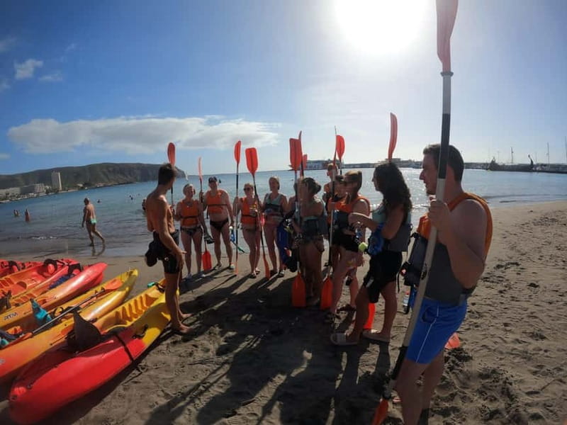 Tenerife: Kayak & Snorkel Tour with Snacks & Sea Life Safari - Fitness, safety, and who should think twice