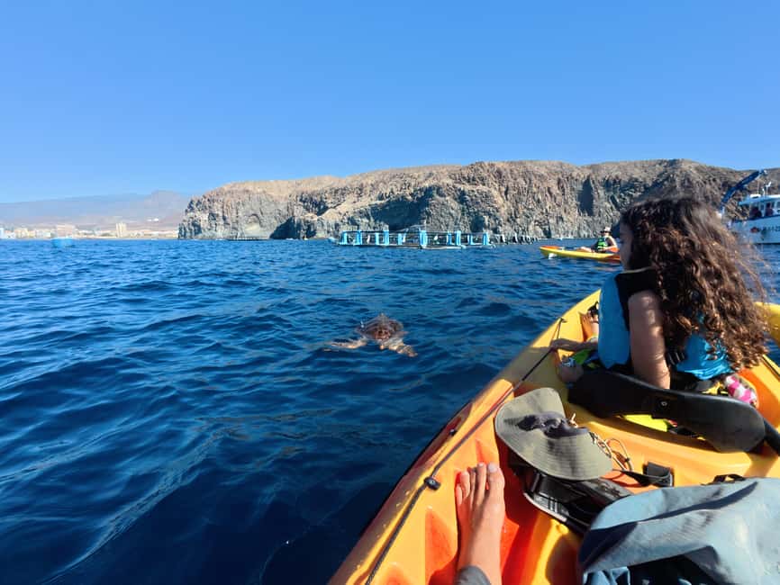 Tenerife: Kayak & Snorkel Tour with Snacks & Sea Life Safari - Stop-by-stop pacing: how the itinerary shapes the experience