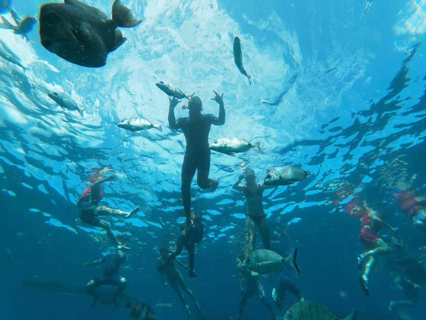 Tenerife: Kayak & Snorkeling, Marine Fauna Watching - Entering the right starting point: La Arenita and Tenerife’s marine safari zone