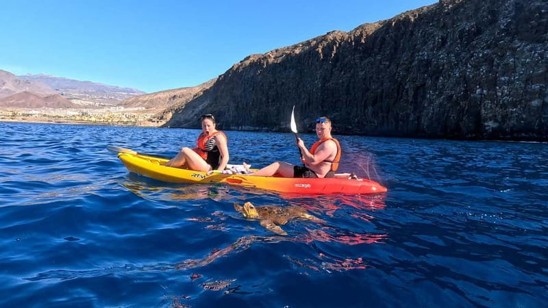 Tenerife: Kayak & Snorkeling Tour - Small Groups - Los Cristianos check-in at SeaThru-Kayaks Tenerife