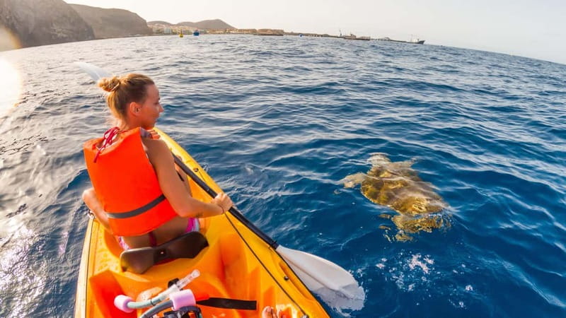 Tenerife: Kayak & Snorkeling Tour - Small Groups - Who this tour is best for (and who should skip it)