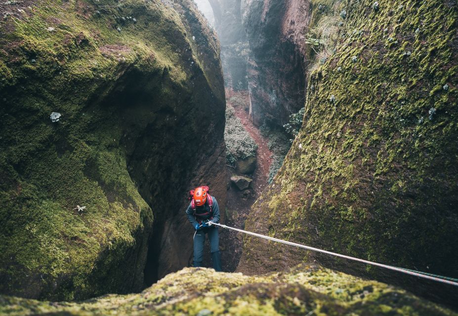 Tenerife: Los Arcos Canyoning Tour with Guide - The Safety Briefing and Forest Track: Where First-Time Nerves Get Managed