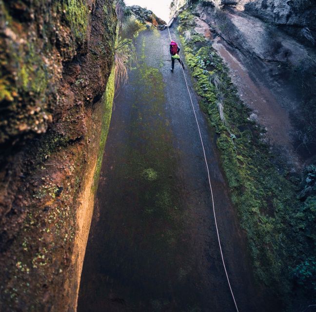 Tenerife: Los Arcos Canyoning Tour with Guide - The Descent Through Los Arcos: 8 Rappels, Mossy Orange Walls, and Real Rope Work