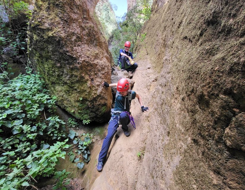 Tenerife: Los Arcos Canyoning Tour with Guide - Who This Tour Fits Best (And Who Should Skip It)