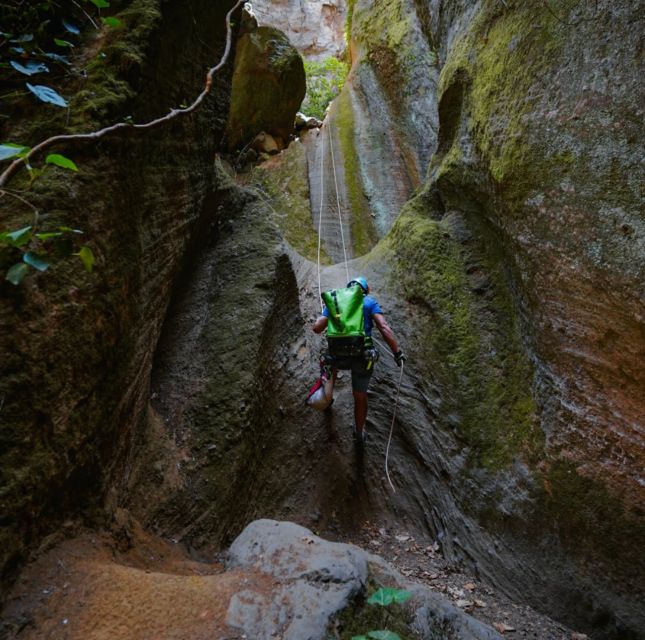 Tenerife: Los Arcos Canyoning Tour with Guide - Meeting at Mirador de La Bermeja: The Logistics That Save Your Stress