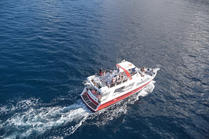 Tenerife Los Cristianos: Whale and Dolphin Eco-Yacht and Swim Stop - Onboard Drinks and What to Bring