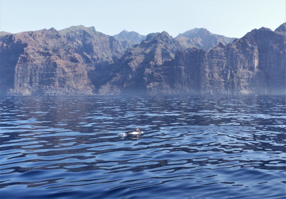 Tenerife: Los Gigantes Whale Watching Cruise by Sail Boat - Food and drinks onboard: snacks that don’t feel like a consolation prize
