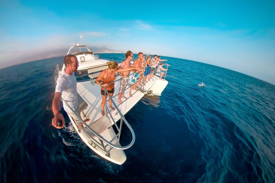 Tenerife: Marine-Life Tour with Transfer, Buffet and Drinks - Is It Good Value for $69? A Practical Breakdown