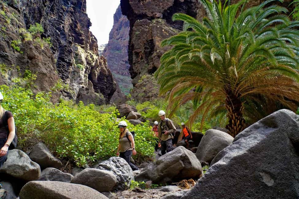 Tenerife : Masca ravine: Descent & boat trip - The 5 km Descent: What You’ll Experience in Barranco de Masca