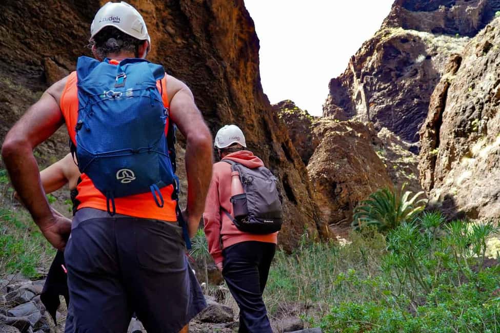 Tenerife : Masca ravine: Descent & boat trip - The Los Gigantes Boat Ride: Cliffs Up Close Without the Hard Return