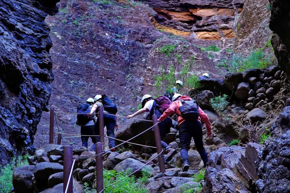 Tenerife : Masca ravine: Descent & boat trip - Price and Value: Is $164 a Fair Deal for This Much Day?
