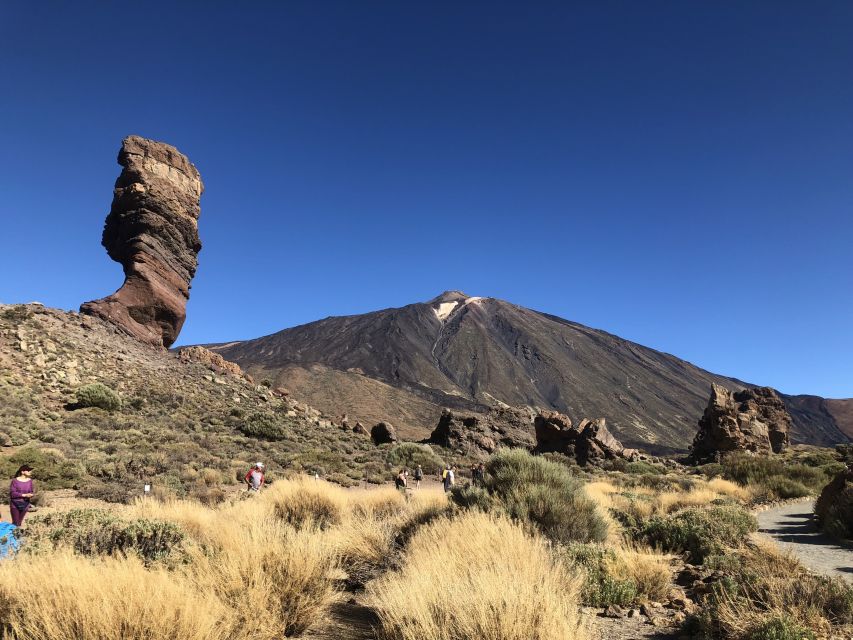 Tenerife: Mount Teide, Masca, Icod and Garachico Day Trip - El Teide National Park and Roques de García: what to look for