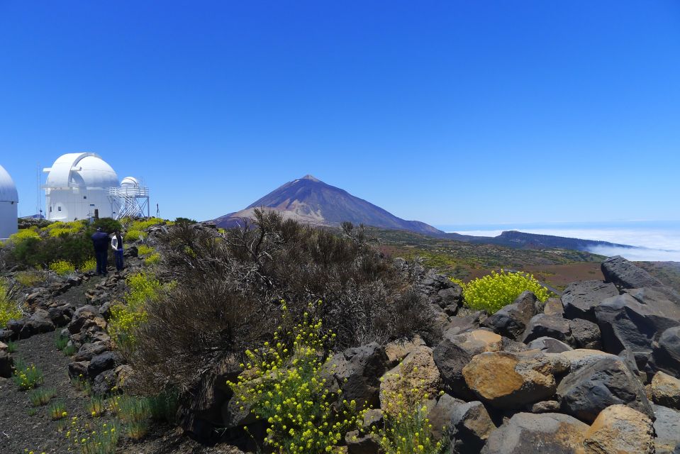 Tenerife: Mount Teide Observatory Astronomical Tour - The 8-hour flow: pickup, minibus rides, and getting up the mountain