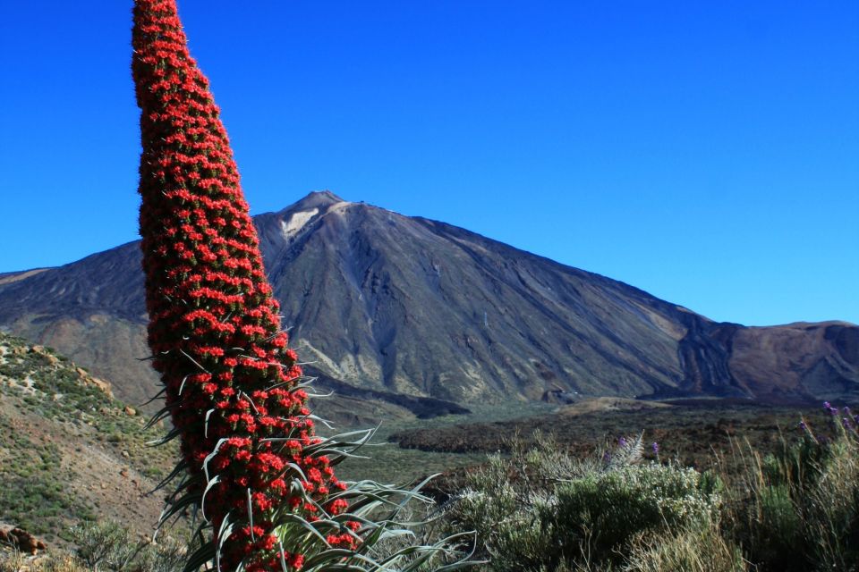 Tenerife: Mount Teide Quad Tour in Tenerife National Park - The driving routes: what you get and what you should not expect