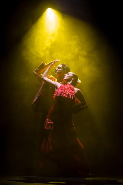 Tenerife : Olé Flamenco Show by Fran Chafino Ticket - The Evening Schedule: Doors at 8:30, Show at 9