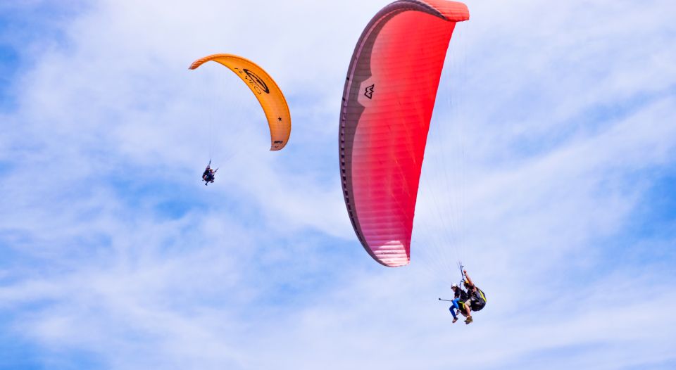 Tenerife: Paragliding Flight - Key things to know before you go