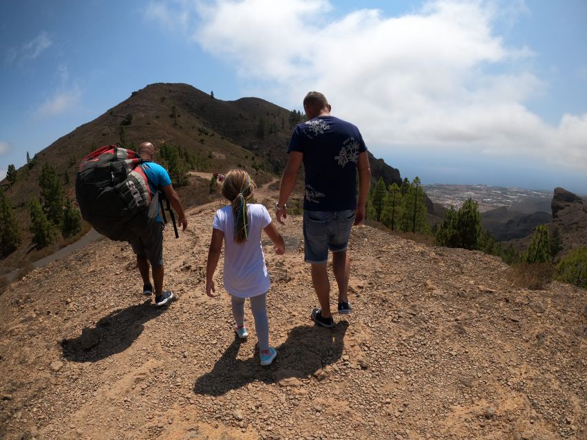 Tenerife: Paragliding with National Champion Paraglider - A flight for calm or a flight for thrill: acrobatics and trying the controls