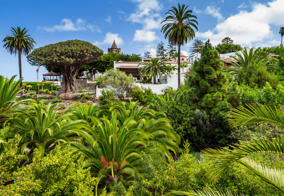 Tenerife: Private Day Tour of the Island with Hotel Pickup - Santa Cruz de Tenerife and Puerto de La Cruz: capital energy vs. seaside character