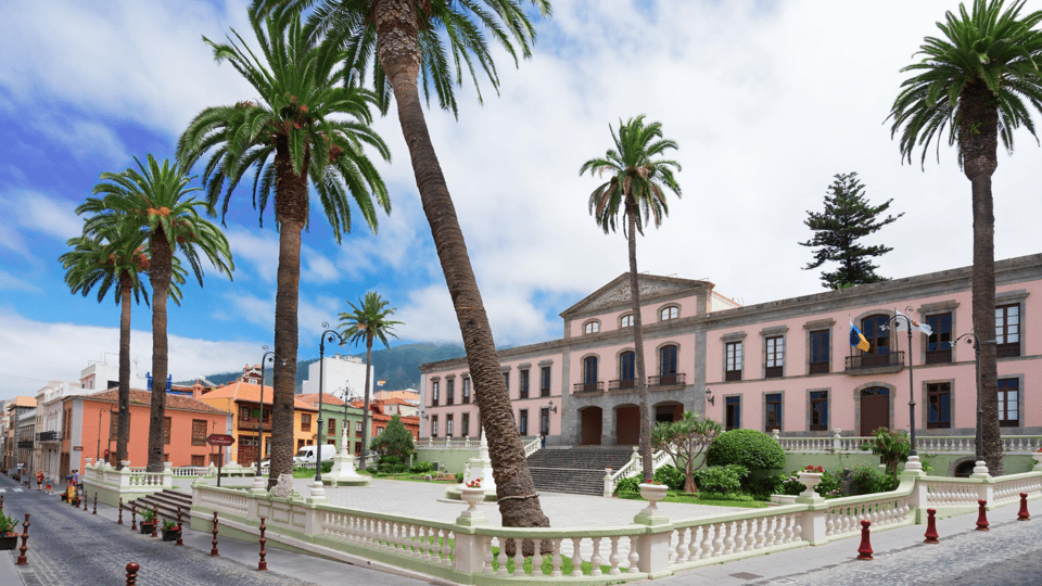 Tenerife: Private Day Tour of the Island with Hotel Pickup - Costa Adeje: finishing in the south with a softer landing
