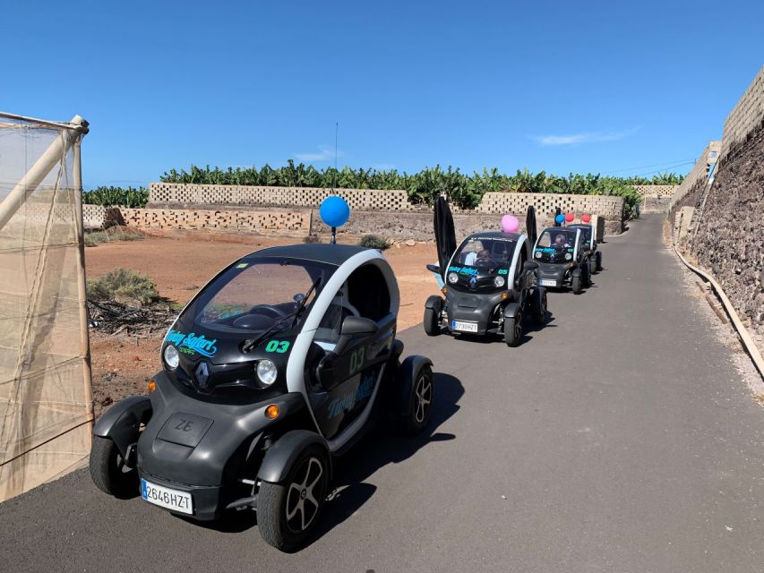 Tenerife: Private Renault Twizy Tour - Why the Renault Twizy feels different on Tenerife’s backroads