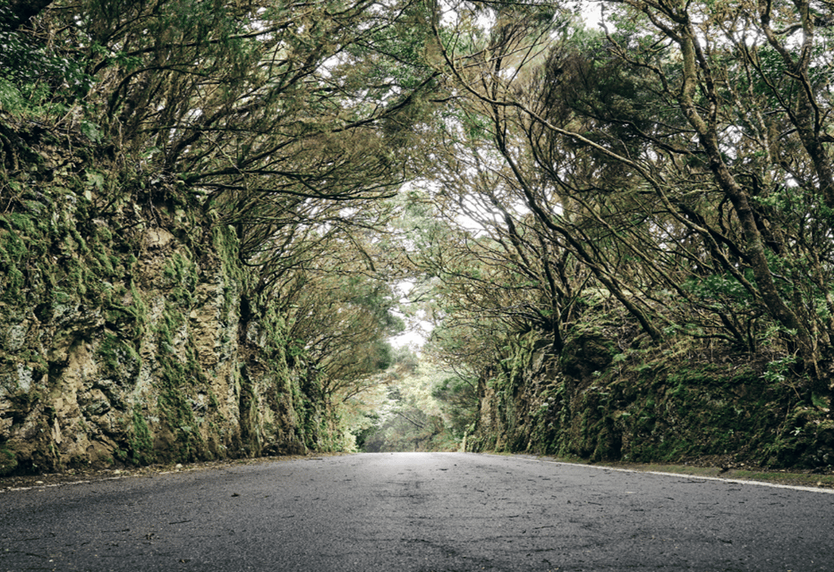 Tenerife: Private Taganana and Anaga Day Trip with Pickup - Pace, Comfort, and What to Bring (So the Day Feels Easy)
